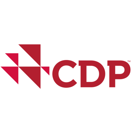 Enhanced GHG Transparency and Compliance Consultancy